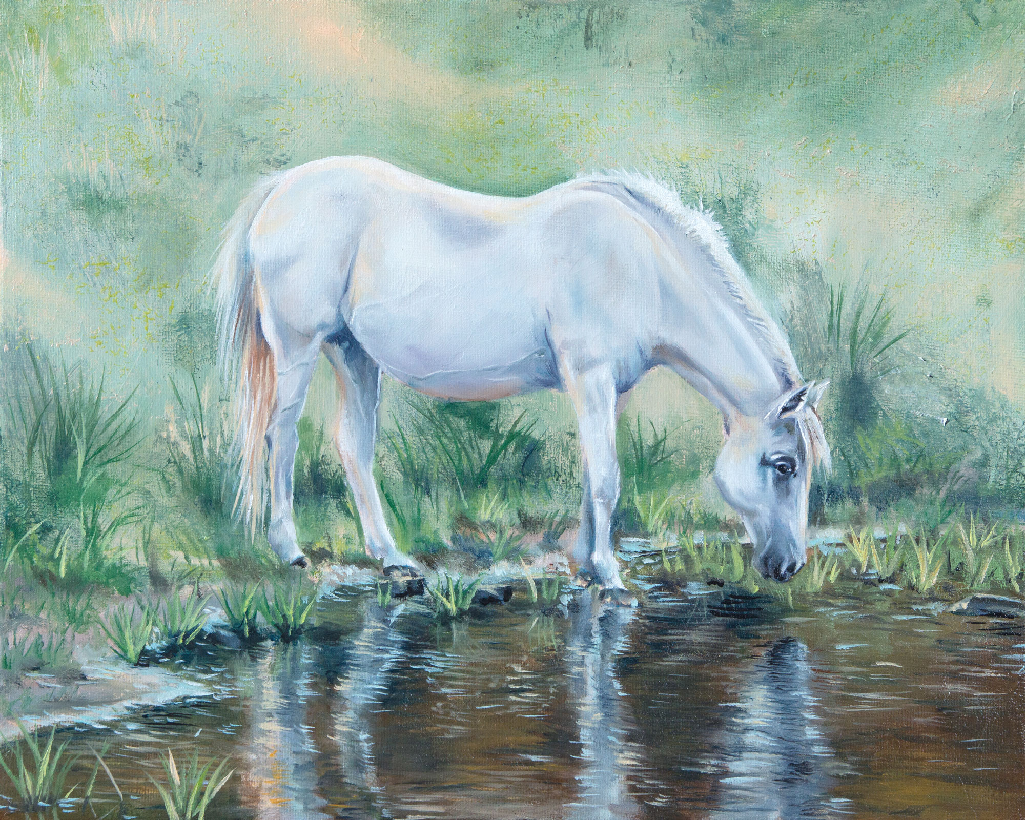 Peinture à l'huile d'un Cheval blanc - Au bord de l'eau