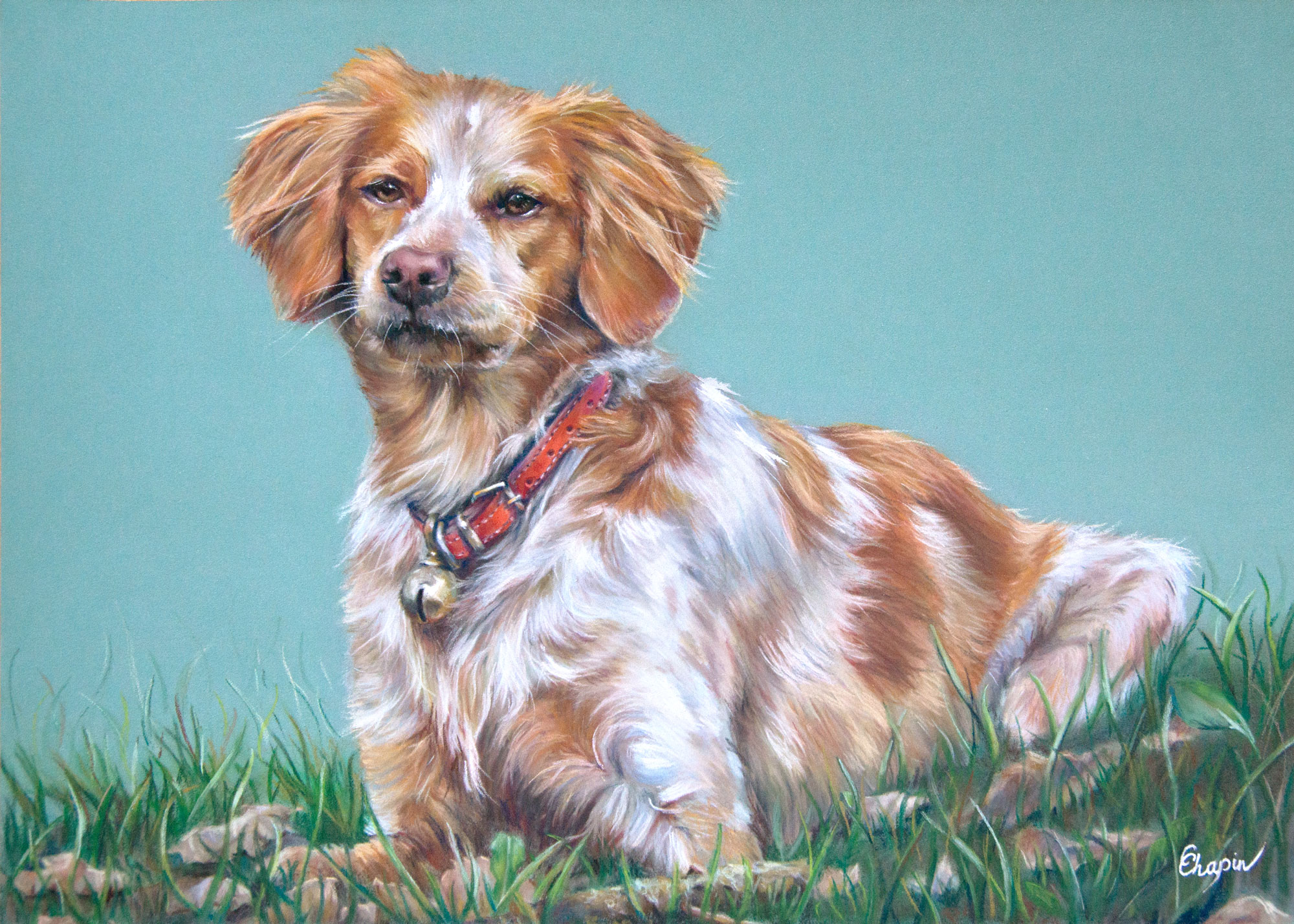 Portrait au pastel de Iéna - Chienne Epagneul
