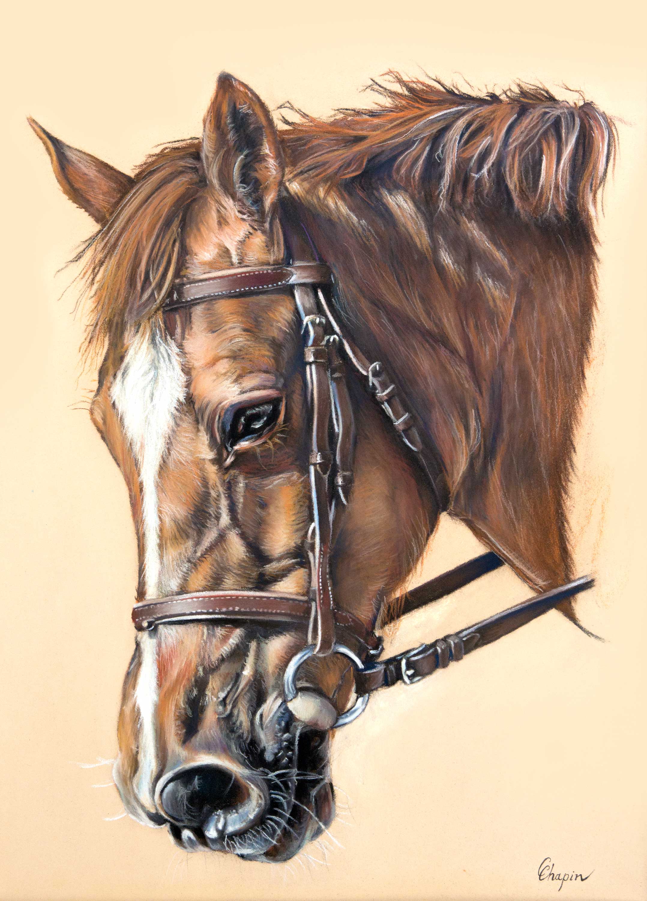 Portrait au pastel du cheval Joker