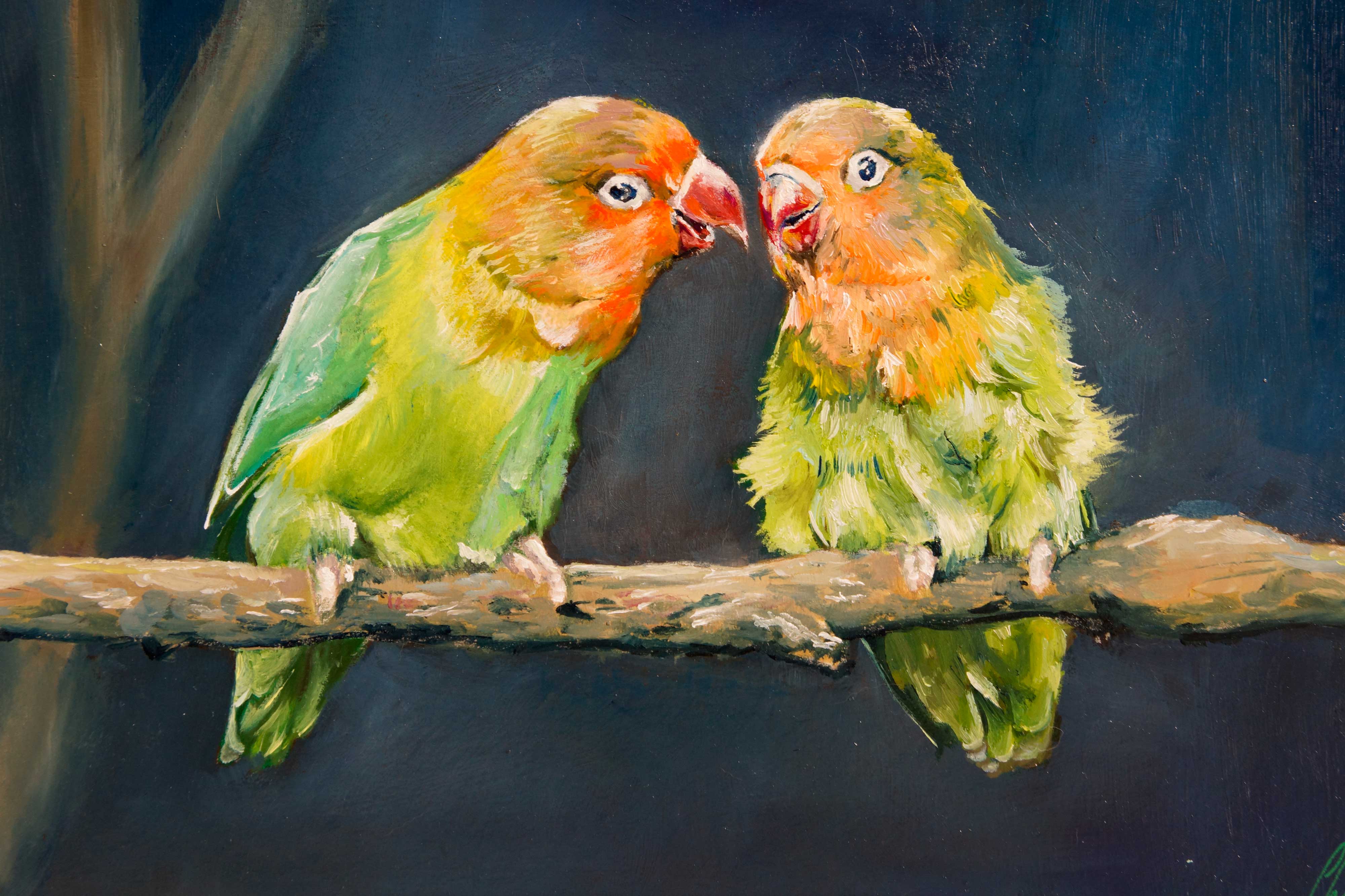 Peinture à l'huile d'un couple d'oiseaux Inséparables