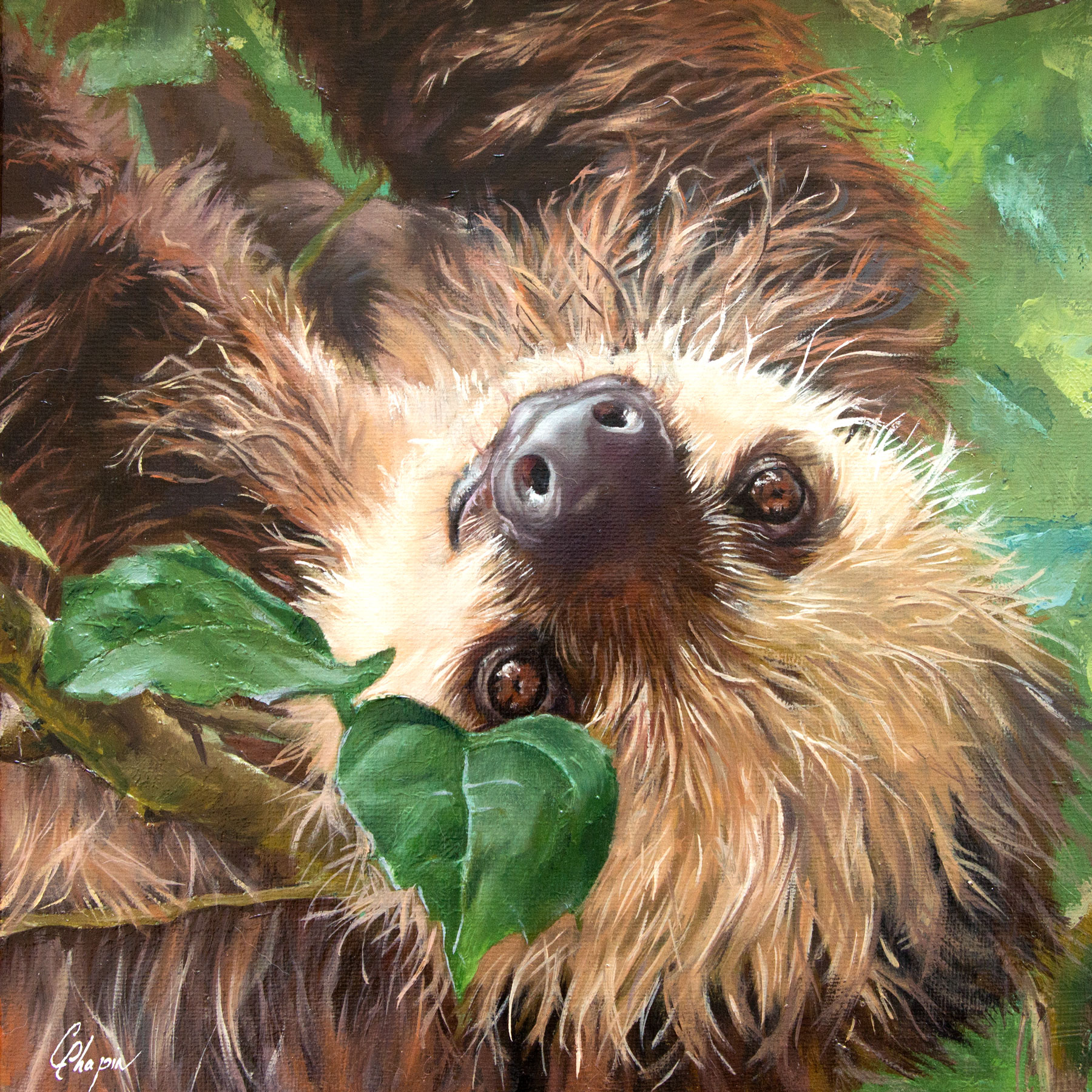 Peinture à l'huile d'un Paresseux - Triptyque voyage au Costa Rica